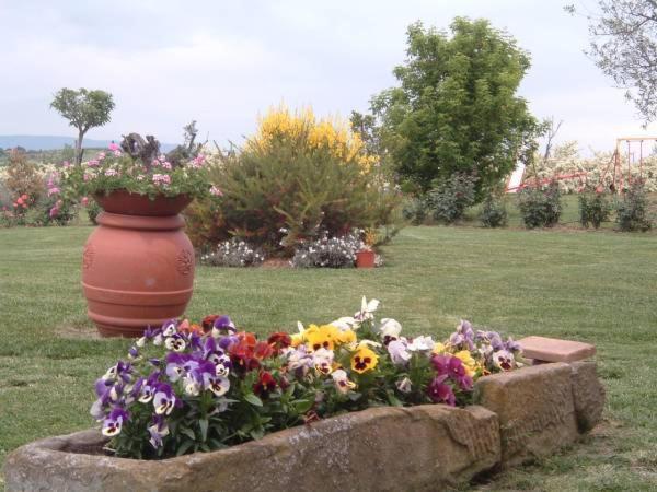Agriturismo I Romiti Кастильоне-дель-Лаго Экстерьер фото