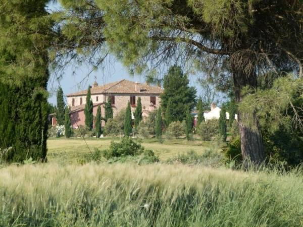 Agriturismo I Romiti Кастильоне-дель-Лаго Экстерьер фото